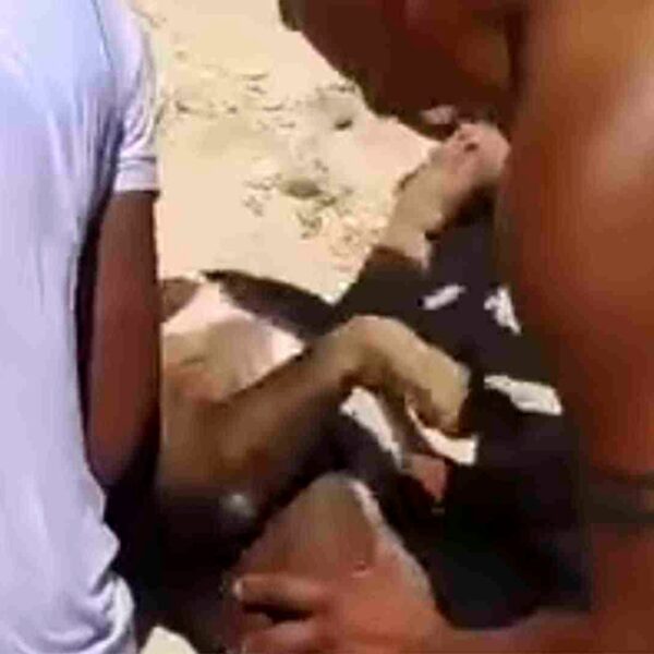 ¡Identifican al culpable! Hombre que ahogó a pitbull en Playa del Carmen no era el dueño