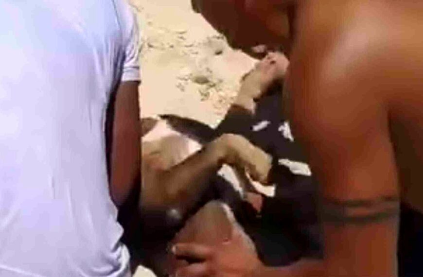 ¡Identifican al culpable! Hombre que ahogó a pitbull en Playa del Carmen no era el dueño