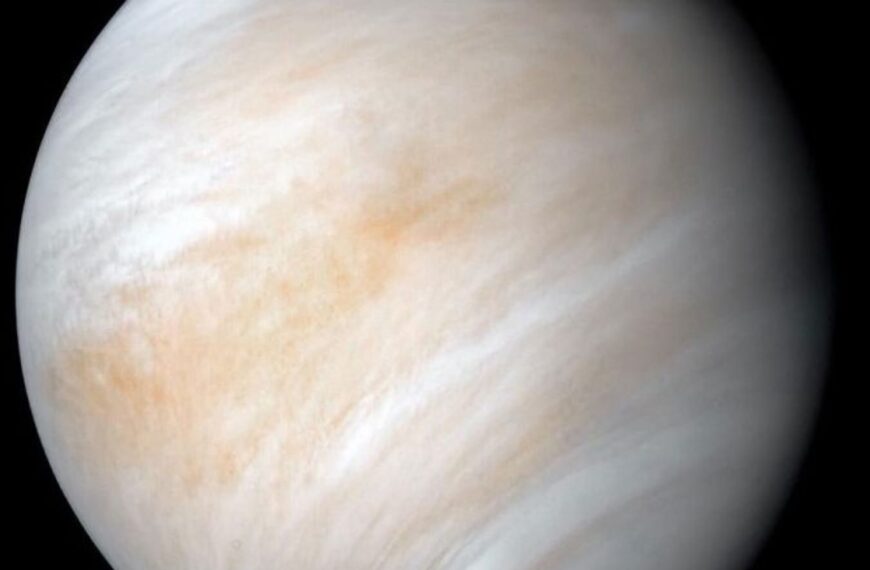 El descubrimiento de una posible señal de vida en las nubes de Venus desató la polémica. Ahora, los científicos dicen tener más pruebas