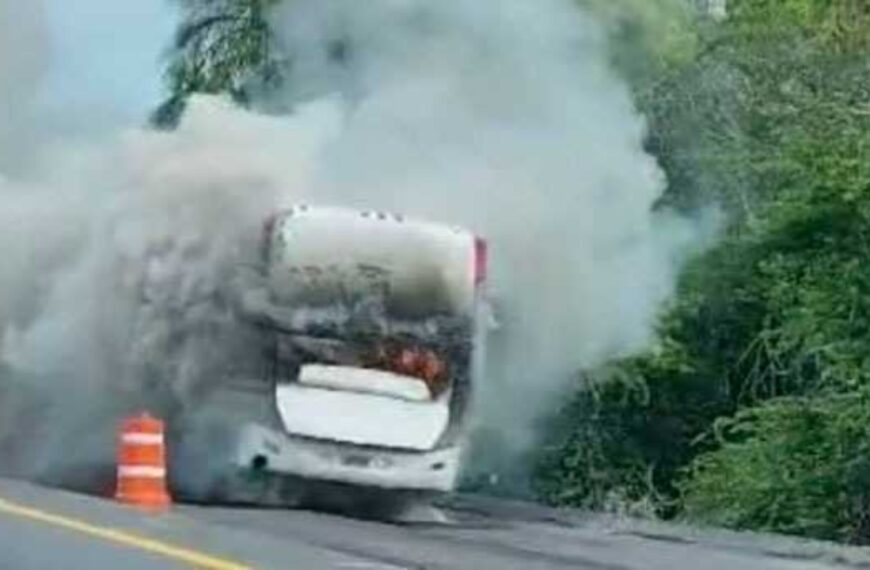 VIDEO: ¡Pánico en la autopista! Autobús se incendia en Colima-Manzanillo