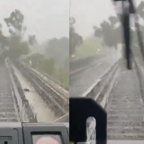 VIDEO: ¡Caos en el Metro CDMX! Árbol se desploma en las vías de la Línea 4