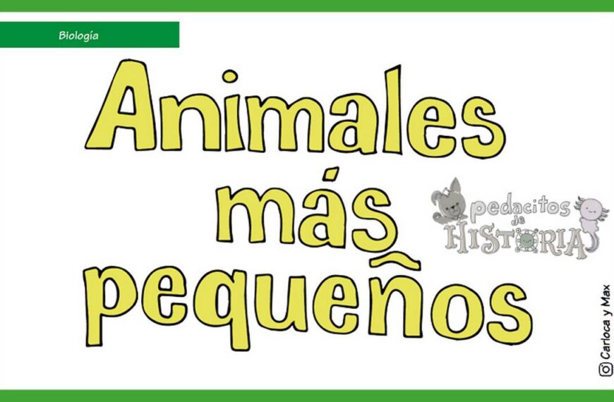 ¿Cuáles son los animales más pequeños del mundo? Uno es más pequeño que una moneda