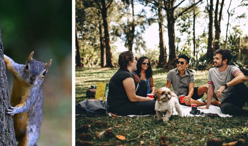 Picnic en Chapultepec: ¿Qué alimentos puedes llevar con las nuevas reglas?