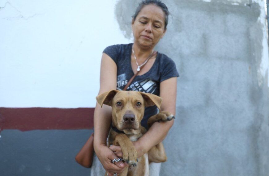 Siguen las acciones a favor de los animales; invita municipio a adoptar perros y gatos