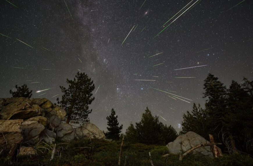 Lluvia de estrellas perseidas 2024: ¿cómo y cuándo verlas sin telescopio?