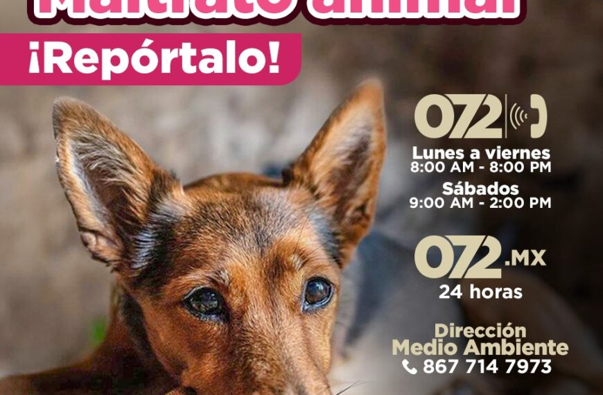 Exhorta gobierno municipal a denunciar los casos de maltrato a los animales