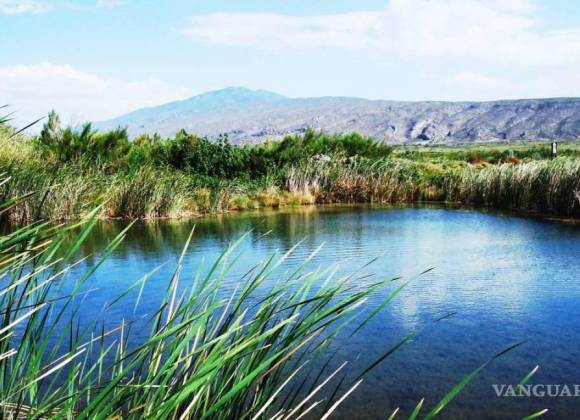 Sobreexplotación de agua en Cuatro Ciénegas acabaría con humedales