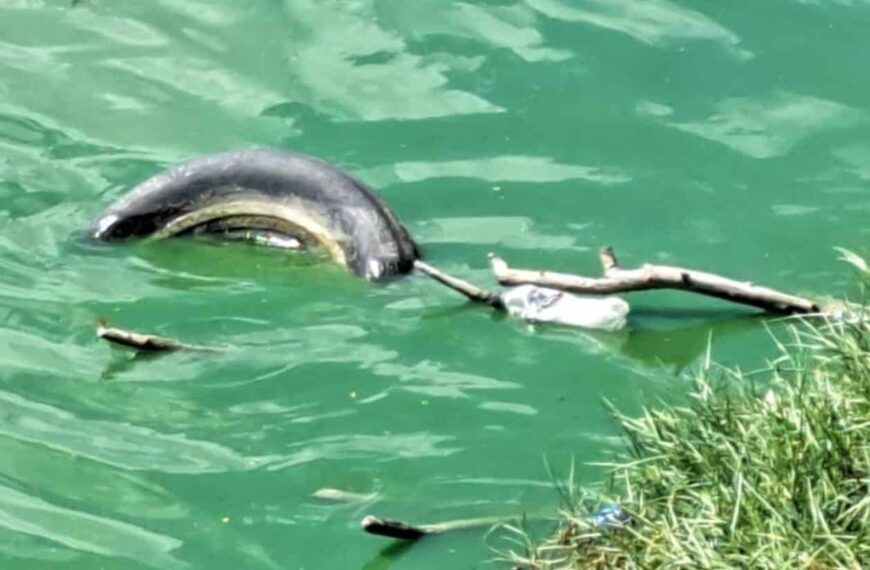 Laguna La Escondida, con alto índice de contaminación