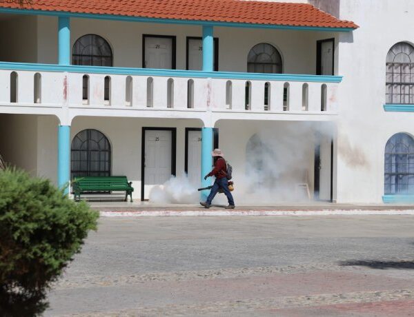 Suma Tamaulipas más de 300 casos de dengue en lo que va del año