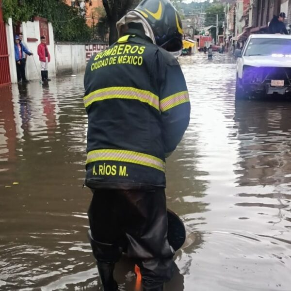 Lluvias de hoy dejan encharcamientos y derriban árboles en la CDMX