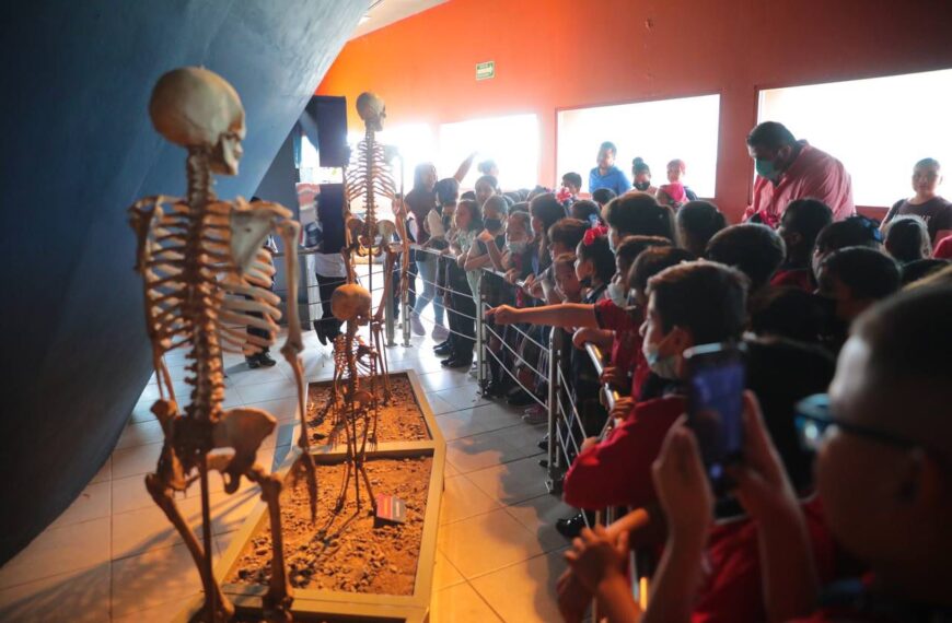 Los museos de Nuevo Laredo son una…