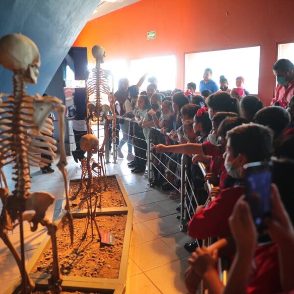 Los museos de Nuevo Laredo son una enriquecedora…
