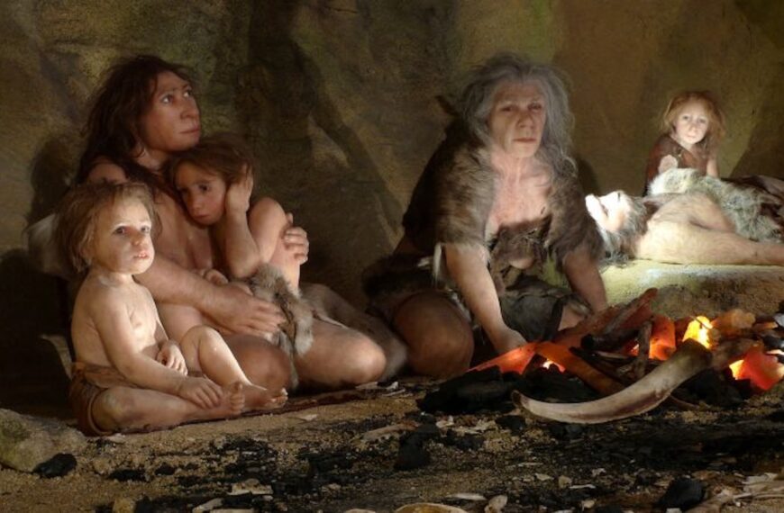 ¿Cómo desaparecieron los neandertales? Nuevos análisis de ADN arrojan luz sobre el misterio