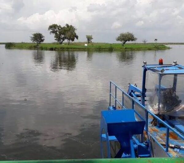 Tamaulipas está totalmente libre de sequía, afirma la Conagua