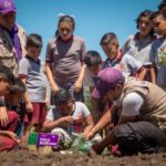 Habilita el DIF Tamaulipas nuevos huertos escolares…