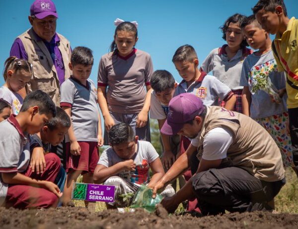 Habilita el DIF Tamaulipas nuevos huertos escolares en…