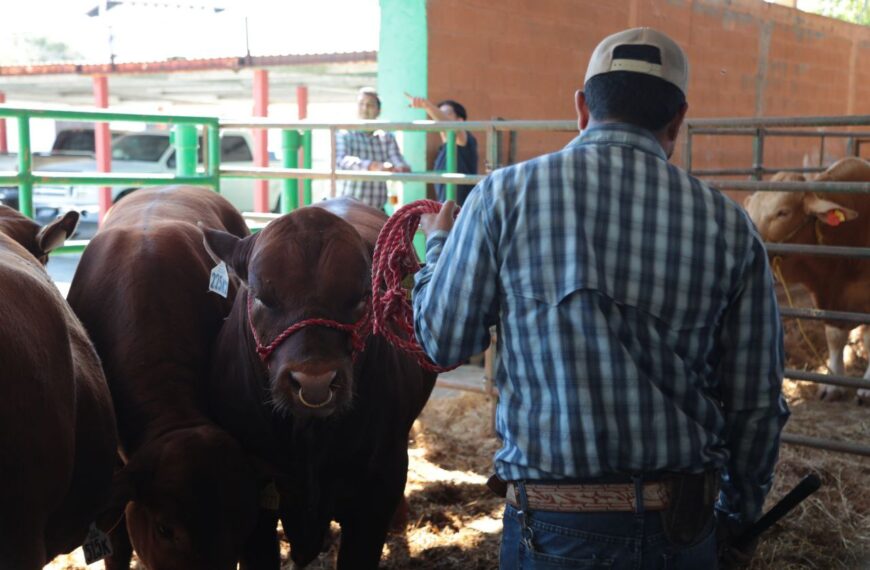 Brinda gobierno municipal pruebas veterinarias gratis a…