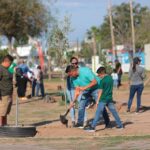 Reforestan los espacios públicos con el programa…