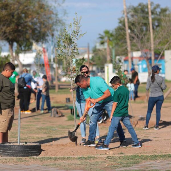 Reforestan los espacios públicos con el programa municipal Sembrando Vida