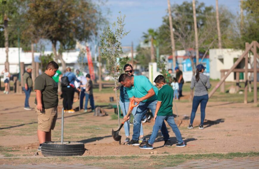 Reforestan los espacios públicos con el programa municipal Sembrando Vida