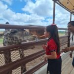 Abrirán zoológico y acuario de la ciudad…