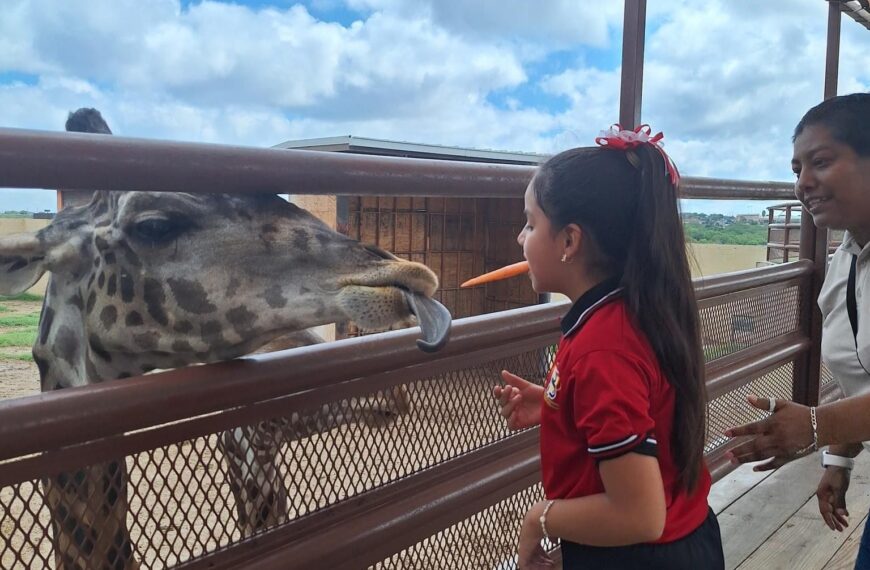 Abrirán zoológico y acuario de la ciudad en día de asueto; la entrada será gratis