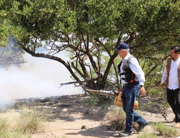 Activará Salud estatal Brigada Emergente contra el Dengue…