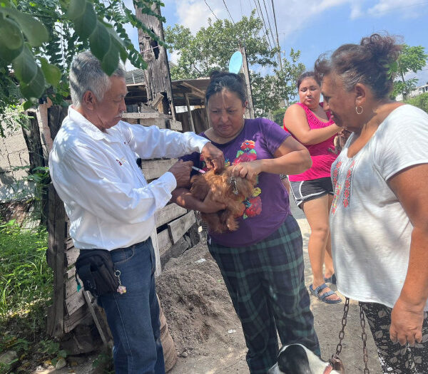 Aplicará la Secretaría de Salud de Tamaulipas más…