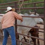 Gobierno municipal apoya a pequeños productores con…