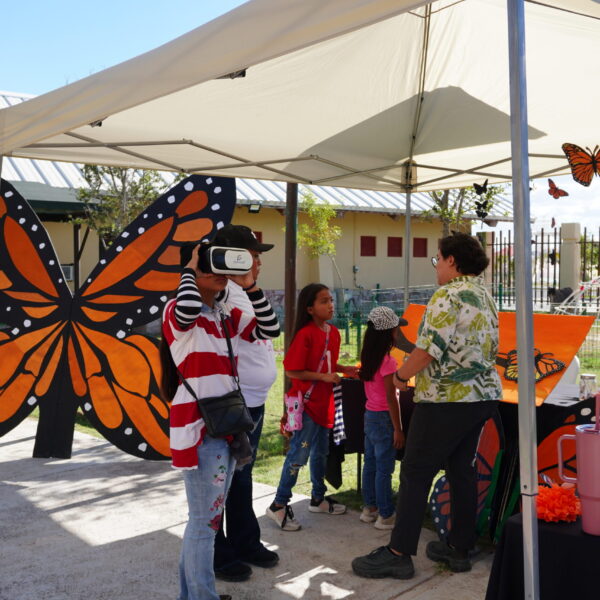 Implementa gobierno municipal taller de concientización sobre la mariposa monarca