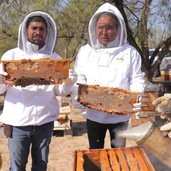 Es gobierno municipal de Nuevo Laredo único en Tamaulipas con programa de rescate de colmenas