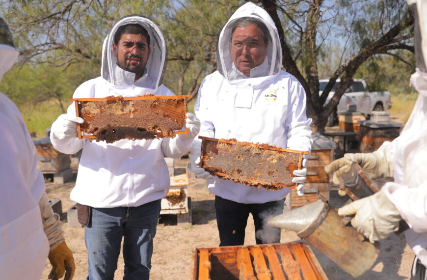 Es gobierno municipal de Nuevo Laredo único en Tamaulipas con programa de rescate de colmenas