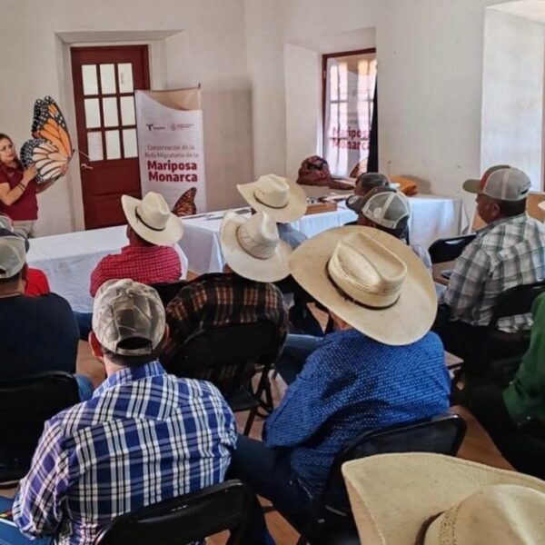 Capacita Comisión de Parques a ejidatarios para proteger…