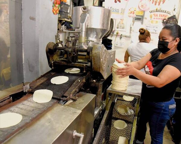 Descartan que suba el precio de la tortilla en lo que resta del año