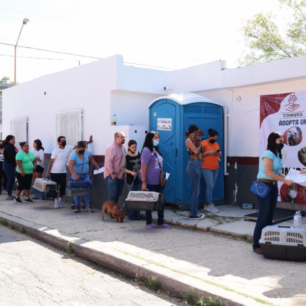 Realizará gobierno municipal la onceava campaña de esterilización felina y canina