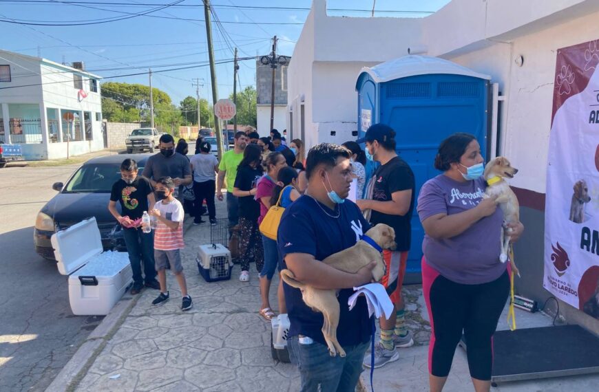 Realizará gobierno municipal Onceava Campaña de Esterilización Felina y Canina