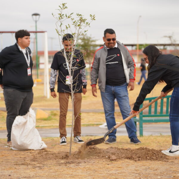Plantarán más de 3,000 árboles; inicia gobierno de Nuevo Laredo jornada de reforestación masiva