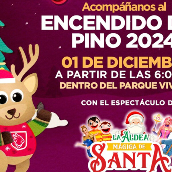 Invita gobierno municipal a encendido de pino navideño en el Viveros este domingo