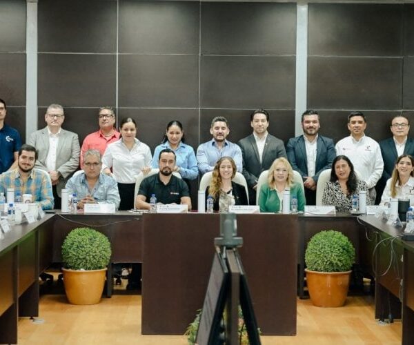 Economía estatal y plataforma de comercio electrónico impulsarán…