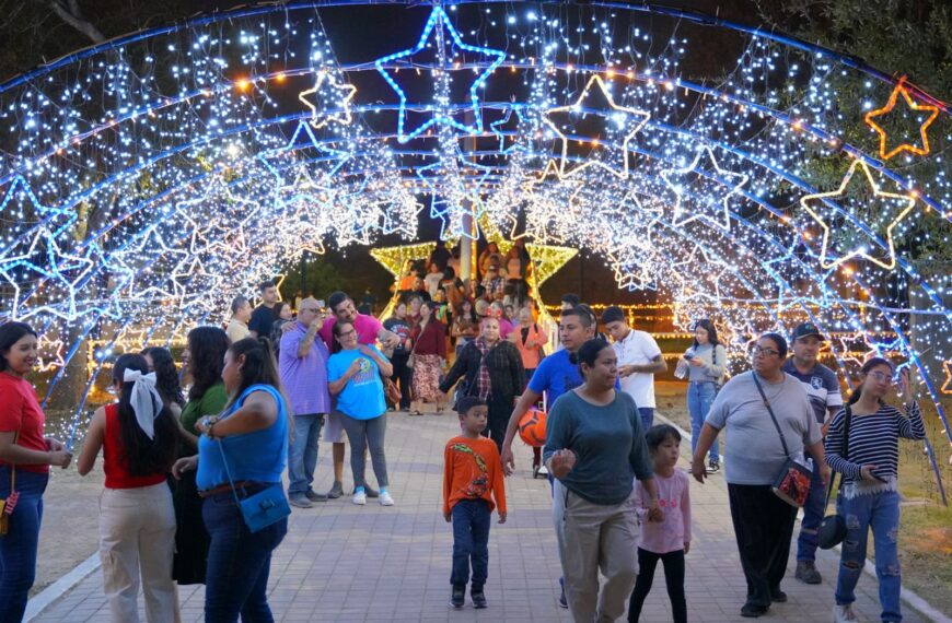 Invitan a disfrutar en familia las luces y esplendor del  “Viveros Mágico”