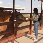 Gobierno municipal invita a ciudadanos a aprender…