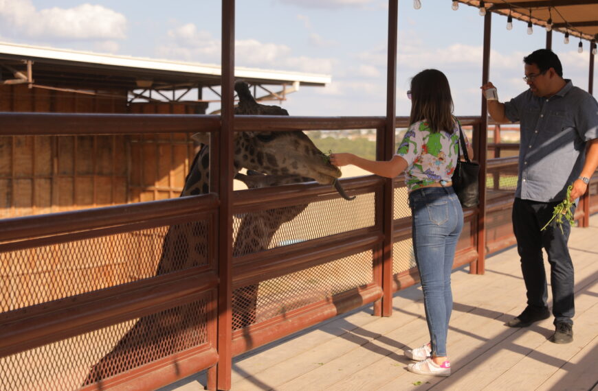 Gobierno municipal invita a ciudadanos a aprender y disfrutar del zoológico de Nuevo Laredo