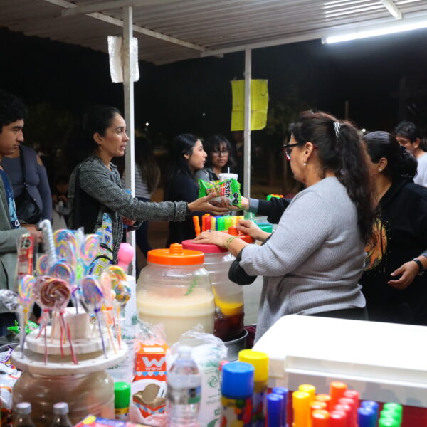 Encendido de pino navideño impulsa fuertemente ventas de comercio en el Viveros