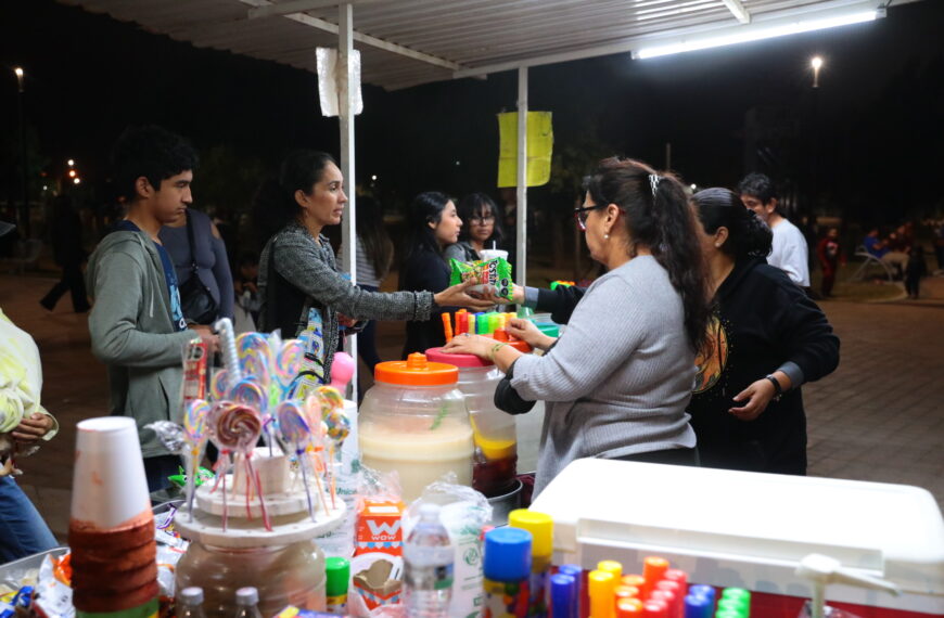 Encendido de pino navideño impulsa fuertemente ventas de comercio en el Viveros