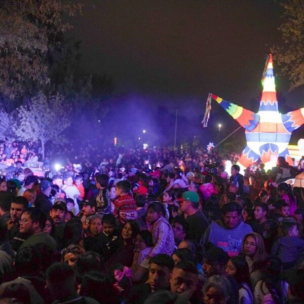 Encendido de Pino Navideño impulsa fuertemente ventas de comercio en el Parque Viveros
