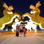 Invitan a disfrutar en familia luces y esplendor del Viveros Mágico