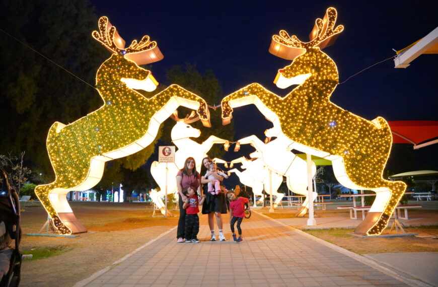 Invitan a disfrutar en familia luces y esplendor del Viveros Mágico
