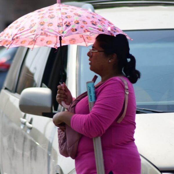 Prevén temperaturas cálidas y vientos de hasta 25 km/h para este domingo