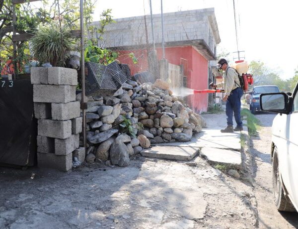Suma Tamaulipas 81 casos de dengue; se monitorea…