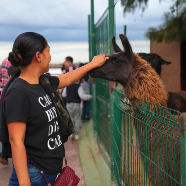 Invitan a interactuar con los animales del zoológico de Nuevo Laredo